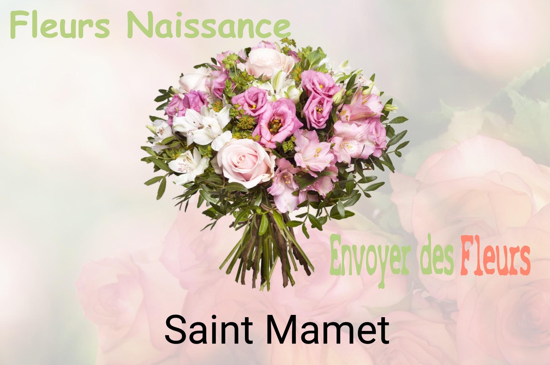 Bouquet de fleurs de naissance livré à Saint-Mamet